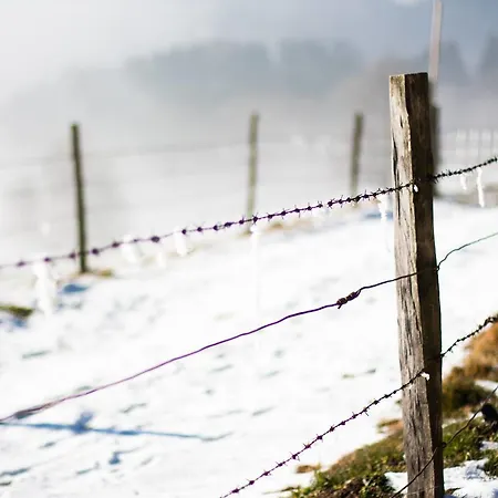 فندق Zoller فولفسبورغ