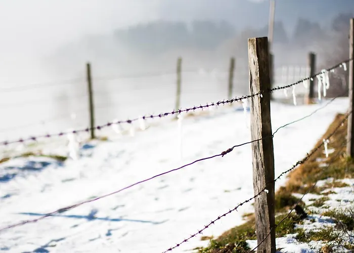 Hotel Zoller Wolfsberg